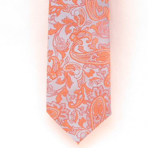 Ties By Marcus Orange and Gray Paisley Pattern Necktie Set