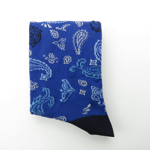 Fancy Socks with Paisley pattern