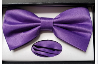 Purple Bowtie Set