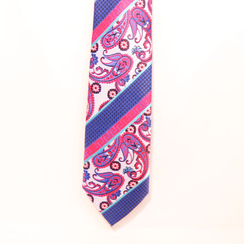 Red and Blue Paisley Pattern Necktie Set