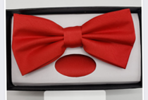 Red Pretied Bow tie set